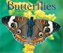 Butterflies 2007 (Calendar)