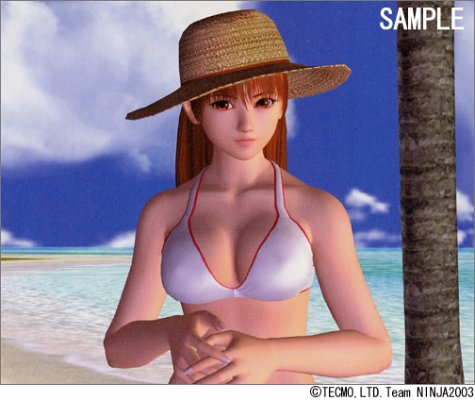 Cover image : デッド オア アライブ エクストリーム ビーチ バレーボール ベスト・ショット (The Xbox books)