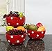 Set of 3 POLKA DOTS Red Ceramic Mixing Bowls, 82169 By ACK (Red)