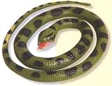 Rubber Anaconda Snake - 75cm