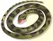 Rubber Snake Anaconda