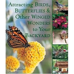 Attracting Birds, Butterflies & Other Winged Wonders to Your Backyard