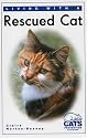 Living With a Rescued Cat