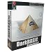 DarkBASIC Professional