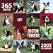 boston_terrier44boston terrier - 365 Days of Boston Terriers 2005 Wall Calendar