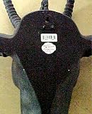 Huge Satanic Goat's Head Wall Hanging Baphomet Evil