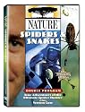 Nature: Spiders and Snakes
