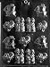 B.S. ASSORTMENT Thanksgiving Candy Mold Chocolate