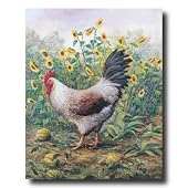 Chicken Rooster And Sunflowers Country Home Decor Wall Picture 16x20 Art Print