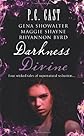 Darkness Divine