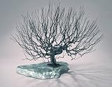 51EMI1IschL. SL160  Bonsai Boys Wire Bonsai Tree Sculpture   Natural Style