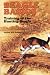 Beagle Basics