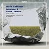Aulis Sallinen: Symphony No. 8; Violin Concerto