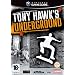 Tony Hawk's Underground (GameCube)