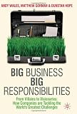 Big Business, Big Responsibilities: From Villains to Visionaries: How Companies Are Tackling the World's Greatest Challenges