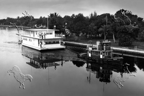 Art Poster, Fort Myers, Florida: Waiting for the Storm - 27.5 x 18.75