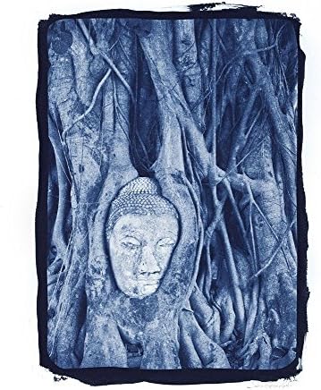 Cyanotype Photograph Buddha in Bodhi Tree