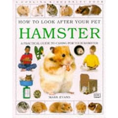 Hamster (How to Look After Your Pet)