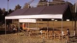 Silver Universal 10x20' Canopy