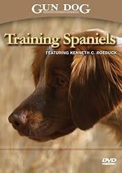 Training Spaniels