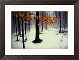 Quiet Woods Framed Wall Art, 25