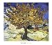 (24x28) Vincent van Gogh The Mulberry Tree, 1889 Art Print Poster