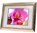 Digital Spectrum MemoryVUE Gallery MV-1500 PLUS 15-Inch Digital Picture Frame (Gold)
