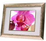 Digital Spectrum MemoryVUE Gallery MV-1500 PLUS 15-Inch Digital Picture Frame (Gold)
