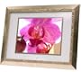 Digital Spectrum MemoryVUE Gallery MV-1500 PLUS 15-Inch Digital Picture Frame (Gold)