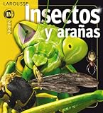 Insectos y aranas Insects and Spiders (Insiders)