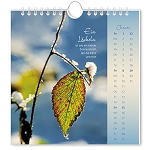 Lichtblicke 2017: Postkartenkalender
