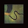 The Serpent's Egg [Vinyl]