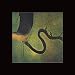 The Serpent's Egg [Vinyl]