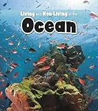 Living and non-living in the ocean