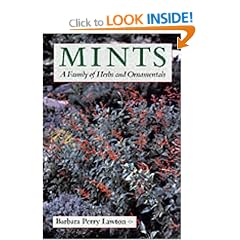 Mints: A Family of Herbs and Ornamentals