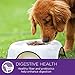 Wellness Complete Health Dry Dog Food, Wholesome Grains, Natural, Whitefish & Sweet Potato Recipe, (15-Pound Bag)
