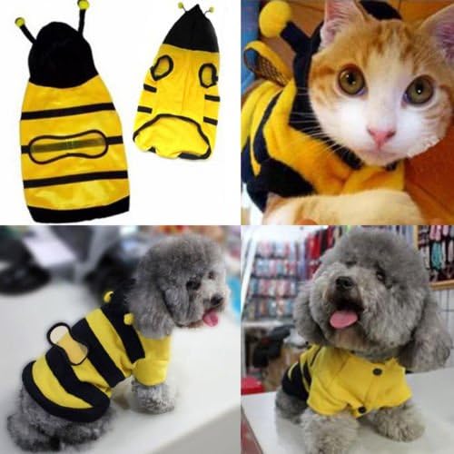 Bee Fancy Hoodie Outfit Dog Coat Cute Clothes Cat Puppy Pet Costume Apparel Size : M