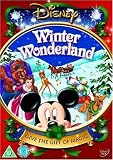 Winter Wonderland