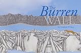 The Burren wall