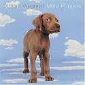 William Wegman: More Puppies Notecard Box