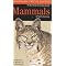 Bird & Wildlife Guides to the Americas