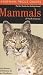 Mammals of North America (Kaufman Focus Guides)