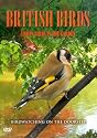 British Birds - Urban Birds In The Garden [DVD]