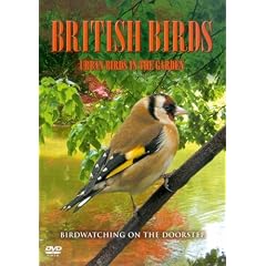 British Birds - Urban Birds In The Garden