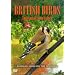 British Birds - Urban Birds In The Garden