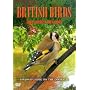 British Birds - Urban Birds In The Garden [DVD]