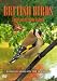 British Birds - Urban Birds In The Garden Image