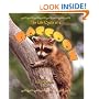 The Life Cycle of a Raccoon