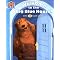 Bear in the Big Blue House - Books