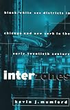 Interzones: Black/White Sex Districts in Chicago and New York in the Early Twentieth Century